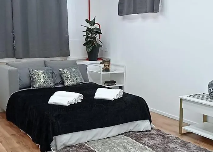 公寓 Monolocale Stadio Olimpico Francia *